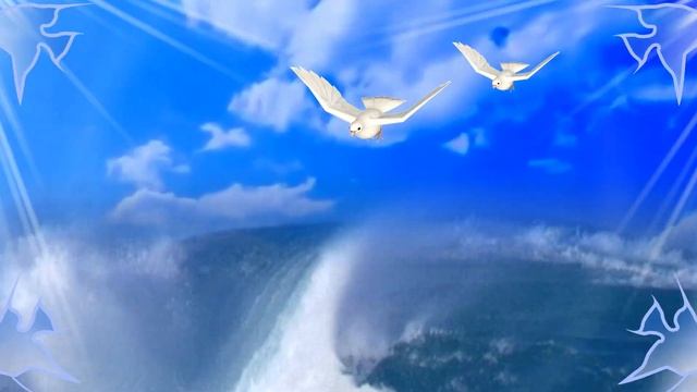 МОРЕ ЧАЙКИ ФУТАЖ# смотреть онлайн