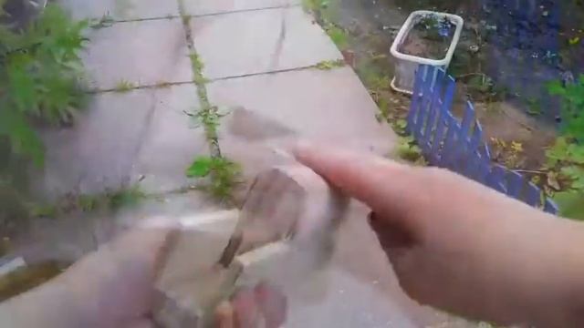 Как сделать ак-74 своими руками из дерева 1 часть (DIY) смотреть онлайн