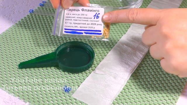 Так всходят даже самые старые семена! Способ 3 в 1 – проверка всхожести, обеззараживание, посев!. смотреть онлайн