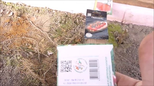 Ранние томаты для теплицы. Подбор сортов. смотреть онлайн