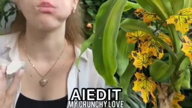 Неделя плиток?День 4/7?Мокрая плитка Премиум??@My Crunchy Love? смотреть онлайн