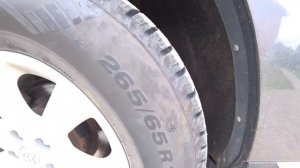 На липучке круглый год. Мои впечатления. На примере виатти боско