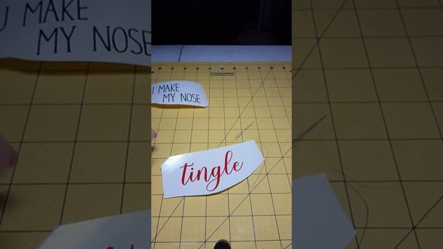 Reverse Canvas with Oracal 651 смотреть онлайн