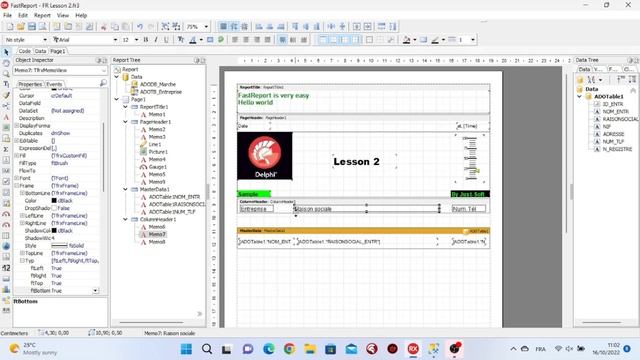 Delphi - FastReport : Lesson 2 How to connect and use SQL Server Data смотреть онлайн