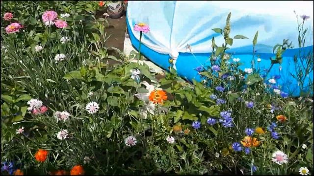 На ДАЧУ/Как живут дачники/Только теперь начинаем отдыхать смотреть онлайн