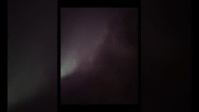 Елена скрипка