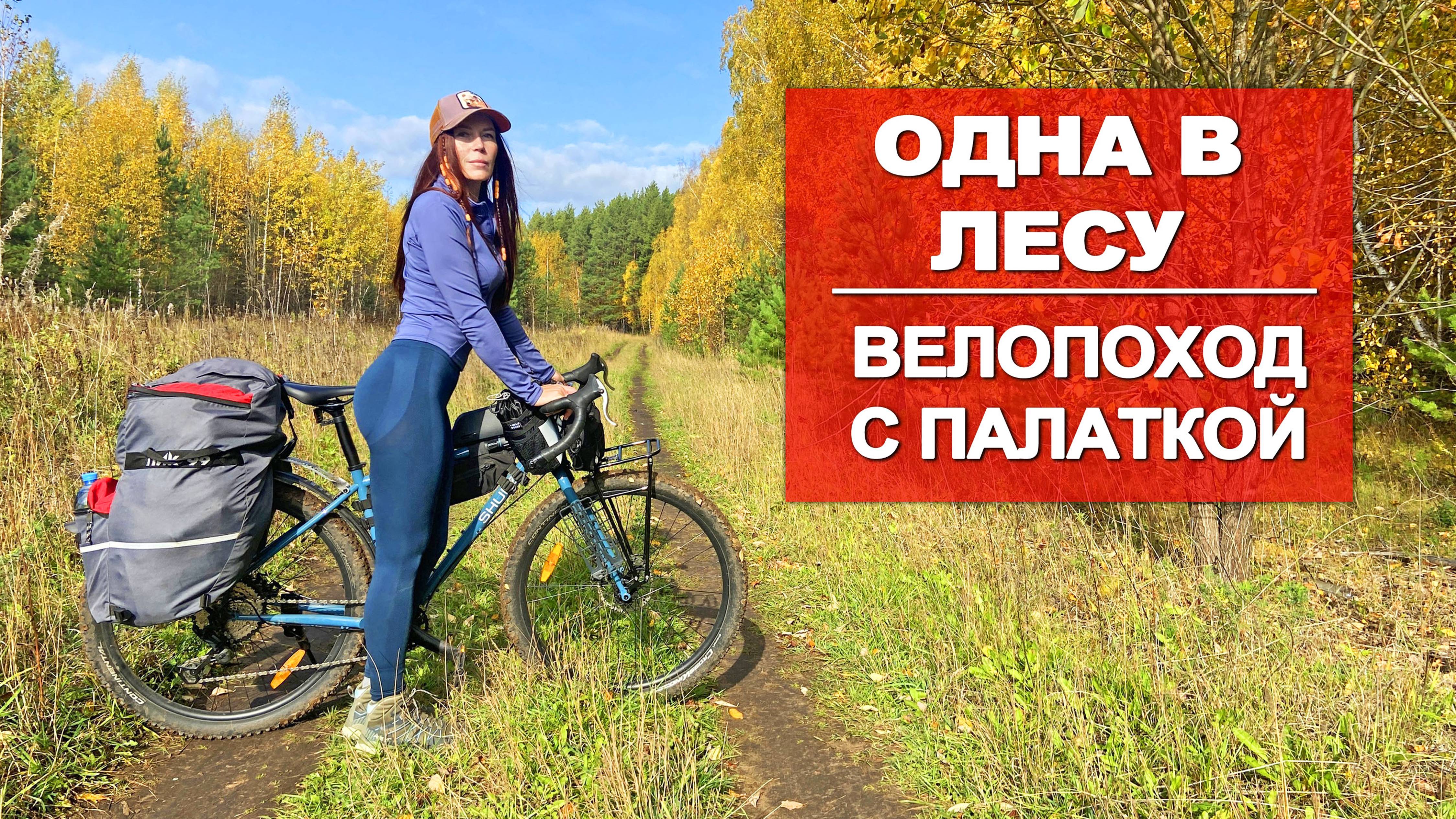 ОДИНОЧНЫЙ ВЕЛОПОХОД | НОЧУЮ В ПАЛАТКЕ | ЗВЕРЬ РЯДОМ