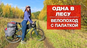 ОДИНОЧНЫЙ ВЕЛОПОХОД | НОЧУЮ В ПАЛАТКЕ | ЗВЕРЬ РЯДОМ
