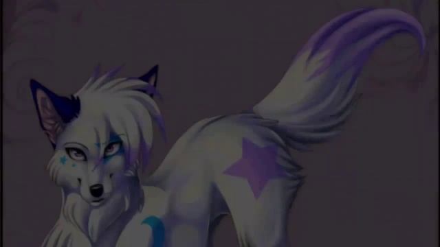 Волки и коты аниме смотреть онлайн