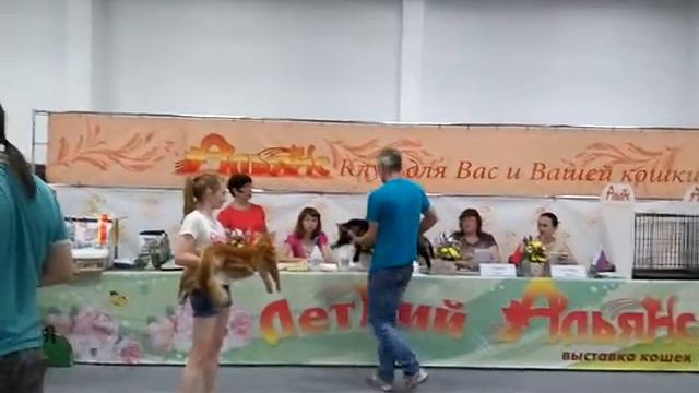 10 мес.Jackie Rysenok.Best.6/08/16.Москва.Сокольники смотреть онлайн