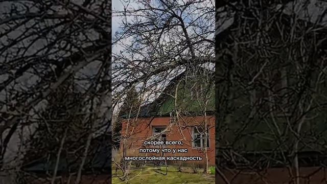 Формирование груши. Часть 1. #bonsai #бонсай #ниваки #сад #андрейдарусенков #плодовыедеревья