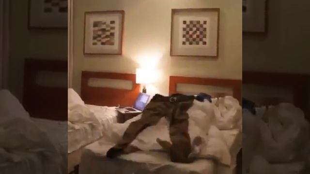 Как я быстро ложусь спать