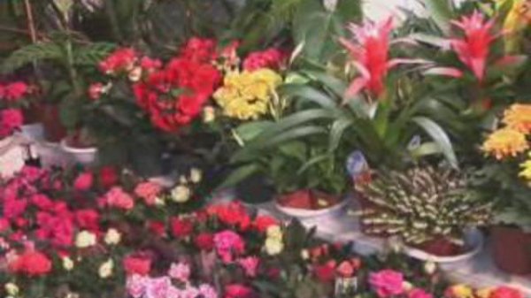 03.2010 - Подарки к 8 марта