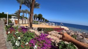 Египет🇪🇬 Провожаю Олега Мнение туристов о SUNRISE Diamond Beach Resort 5* Первая линия Хадаба
