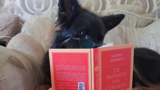 04. В.Языков 1928г. Курс теории дрессировки собак. Чтение полезных книг смотреть онлайн