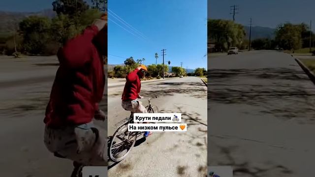 ВЕЛОтренировки для БЕГУНА #айронмен #триатлон #бег #велоспорт #спорт #здоровье #тренировки смотреть онлайн