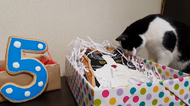 Small Big Anniversary!! смотреть онлайн
