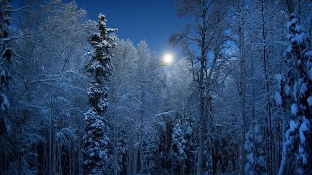 Мои стихи «Зимний лес» смотреть онлайн