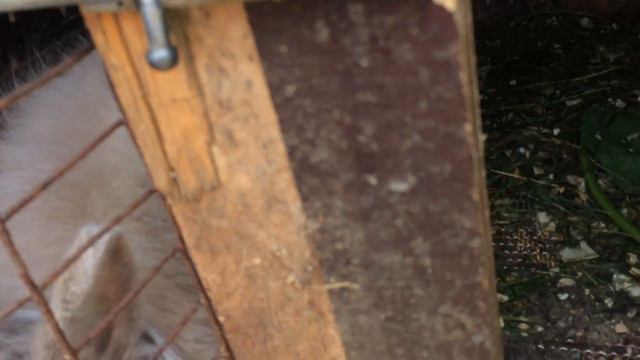 Отпуск в домашних условиях)) смотреть онлайн