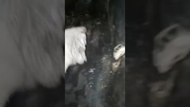 Hyundai 78 обдув салона смотреть онлайн