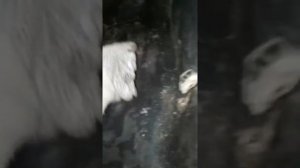 Hyundai 78 обдув салона