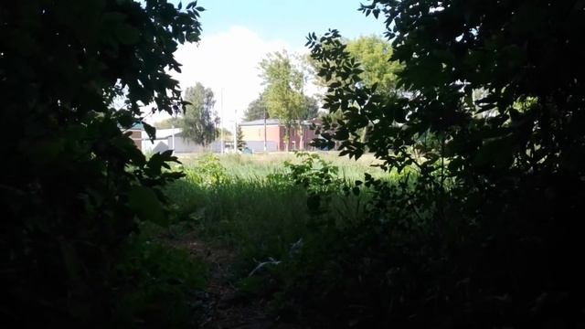 Бормотолог от 16 августа 2023 г. (Frau Danke 8% Крепкое) смотреть онлайн