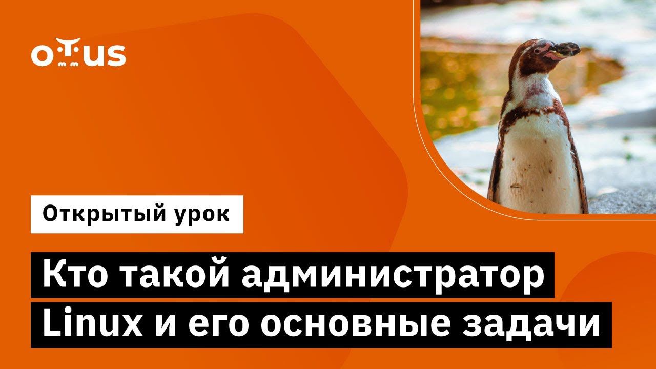 Кто такой администратор Linux и его основные задачи // Демо-занятие курса «Administrator Linux»