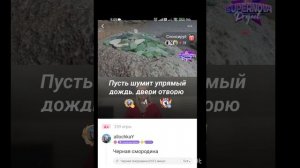 Черная смородина. Караоке