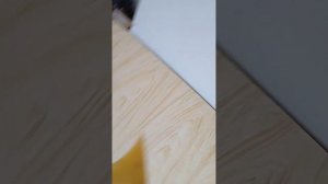 Дудка Горн детский Советский союз