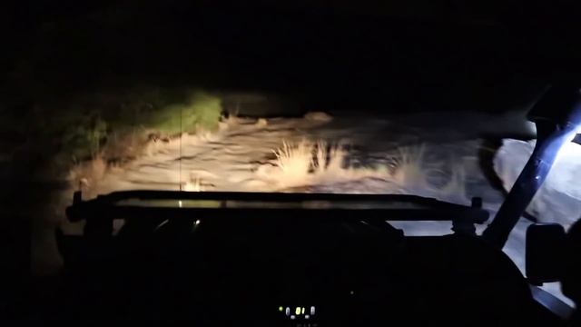 Are Nighttime Safaris DANGEROUS? ?/ Join Us During our First Nocturnal Game Drive in Kenya Africa смотреть онлайн