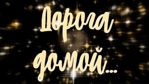 Дорога домой