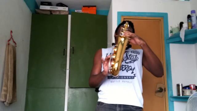 Alto Saxophone First Lesson смотреть онлайн