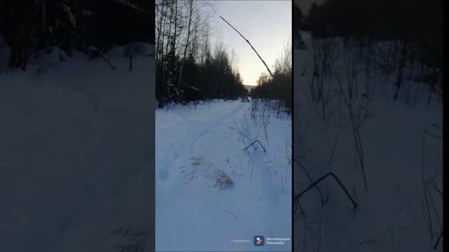 Дом, который приносит радость