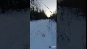 ВЕЗДЕХОД БОРУС ПО СНЕГУ, ТЕСТ ДРАЙВ .