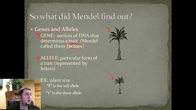 Who was Gregor Mendel? смотреть онлайн