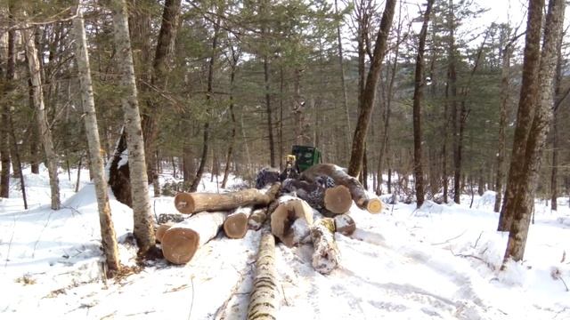 Все подряд В тайге Приморья (есть маты).(31) смотреть онлайн
