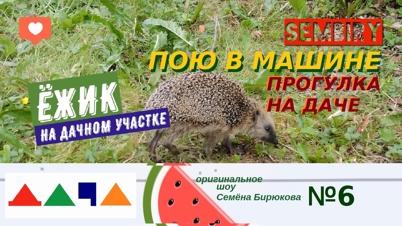 ЁЖИК. ПРОГУЛКА ПО ДАЧЕ. ЧТО ПОЮ В МАШИНЕ: ЛЕПС. ГАГАРИНА. ВАЛЕРИЯ. ШОУ ДАЧА. Выпуск от 18.09.2022 смотреть онлайн