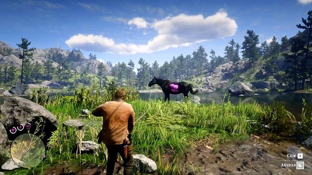ARTHUR CATCH A BEAUTIFUL CHAROITE HORSE - RDR2  GAMEPLAY