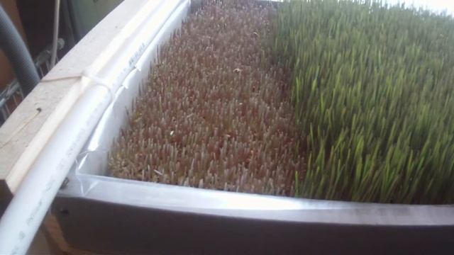 Второй урожай и устройство каскада смотреть онлайн