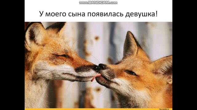 у моего сына появилась девушка) смотреть онлайн