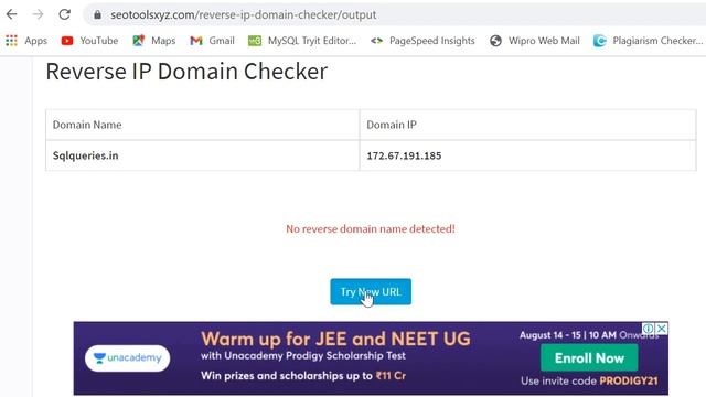 Reverse IP Domain Checker | SEO Tools XYZ