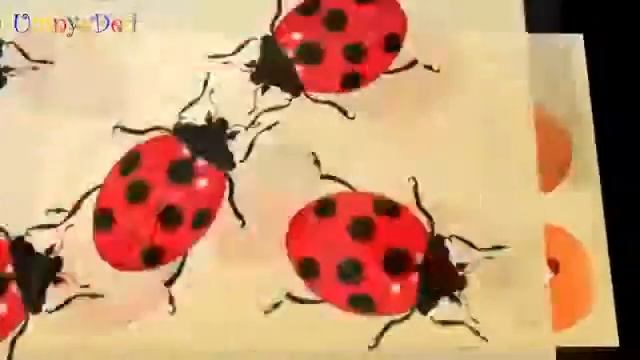 Цифры от 1 до 10 в КАРТИНКАХ смотреть онлайн