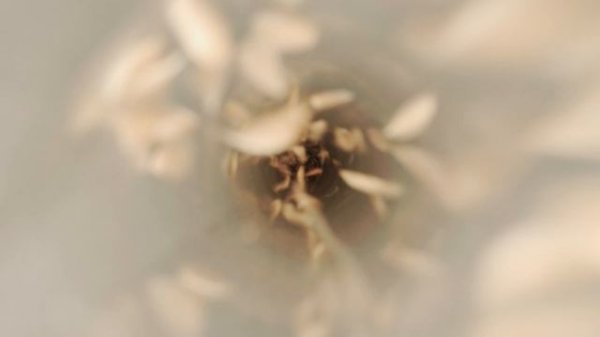 Беспроводный пылесос VIXTER VCR-6190