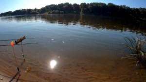 Рыбалка / Ловля подлещика на Оке под Серпуховом.