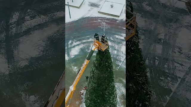Праздник скоро! В Лиде устанавливают и украшают главную ёлку смотреть онлайн
