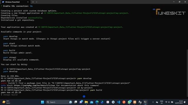 How to install Strapi Project and start with PM2 смотреть онлайн