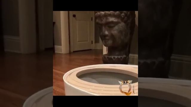 видосик смотреть онлайн