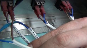 Схема подключения датчика на яйцо,как подключить твердотельное реле к терморегулятору  хм-18