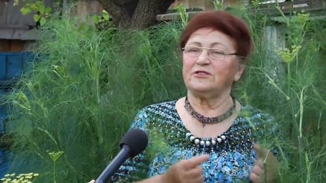 Фенхель смотреть онлайн