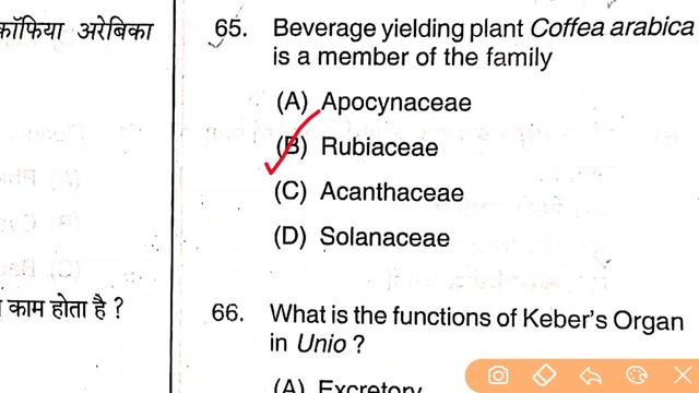 TGT BIOLOGY 2021 QUESTION PAPER & SOLUTION | Explained in English | टीजीटी जीव विज्ञान पेपर 2021 смотреть онлайн